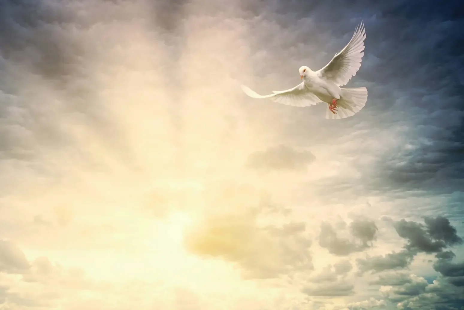 The Power Within: How the Holy Spirit Dwells and Works in You ...